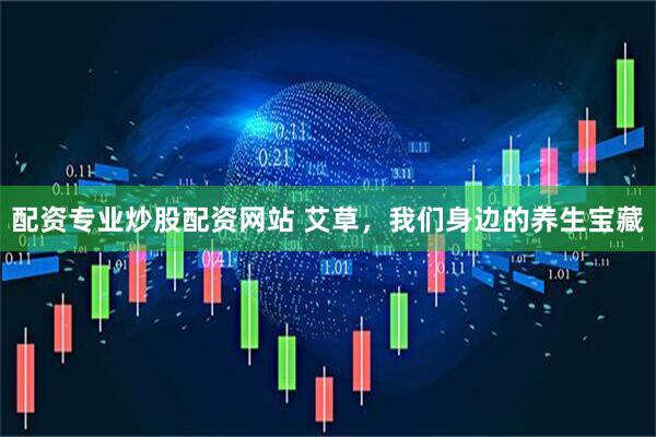 配资专业炒股配资网站 艾草，我们身边的养生宝藏