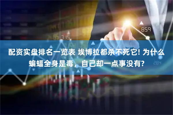 配资实盘排名一览表 埃博拉都杀不死它! 为什么蝙蝠全身是毒，自己却一点事没有?