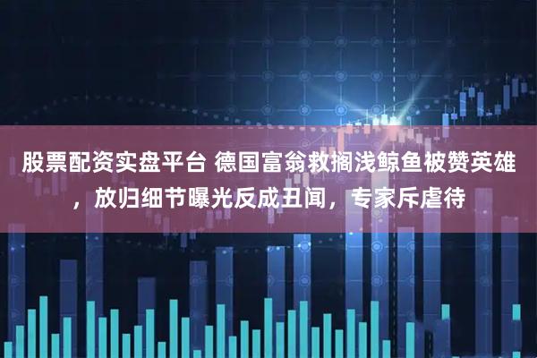 股票配资实盘平台 德国富翁救搁浅鲸鱼被赞英雄，放归细节曝光反成丑闻，专家斥虐待
