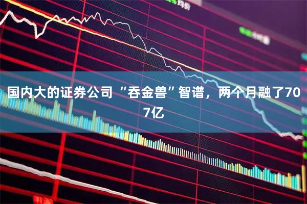 国内大的证券公司 “吞金兽”智谱，两个月融了707亿